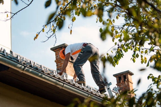 Best Commercial Roof Installation  in Casey, IL
