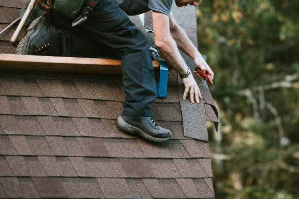 Best Roof Gutter Cleaning  in Casey, IL